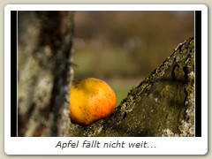 Apfel fällt nicht weit...