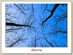 Bäume