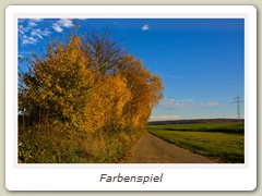 Farbenspiel
