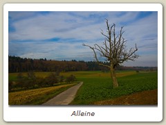 Alleine