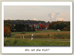 Wo ist die Kuh?