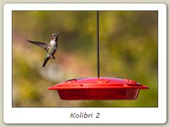 Kolibri 2