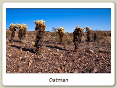 Oatman